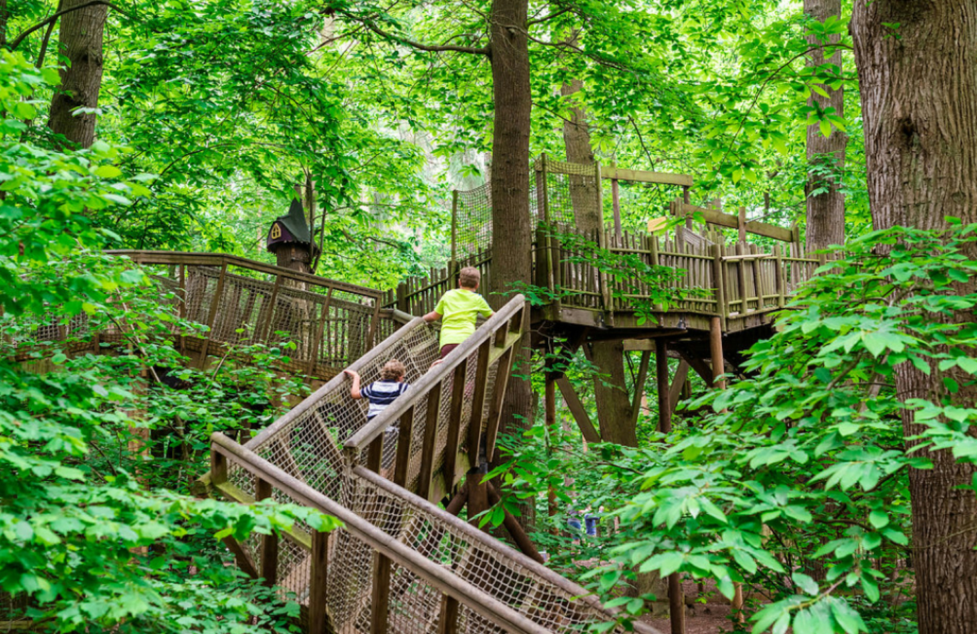 Two young boys walking along a tree-top walkway among lush greenery