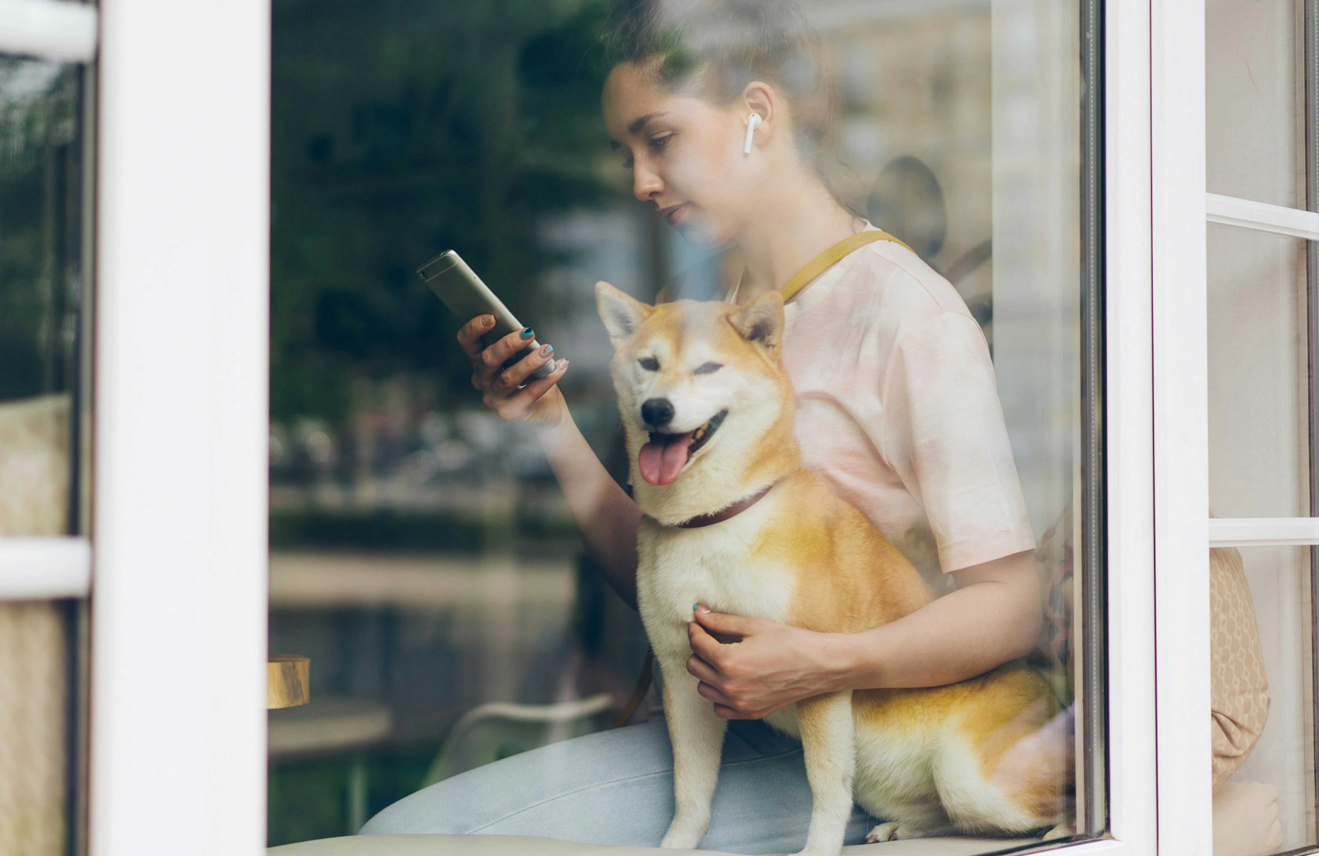 A woman sitting by a window looks at a smartphone while holding a Shiba Inu dog. She wears wireless earbuds, and the dog looks toward the camera with its tongue out.