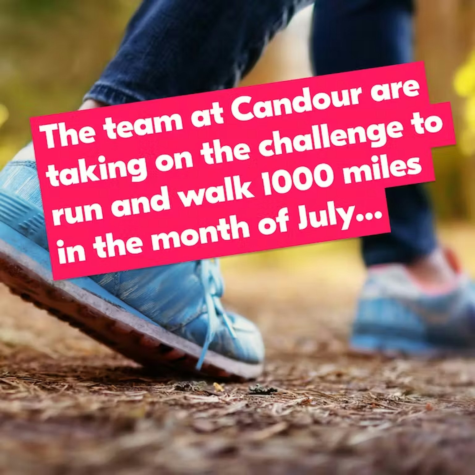 A person wearing trainers walking in the forest