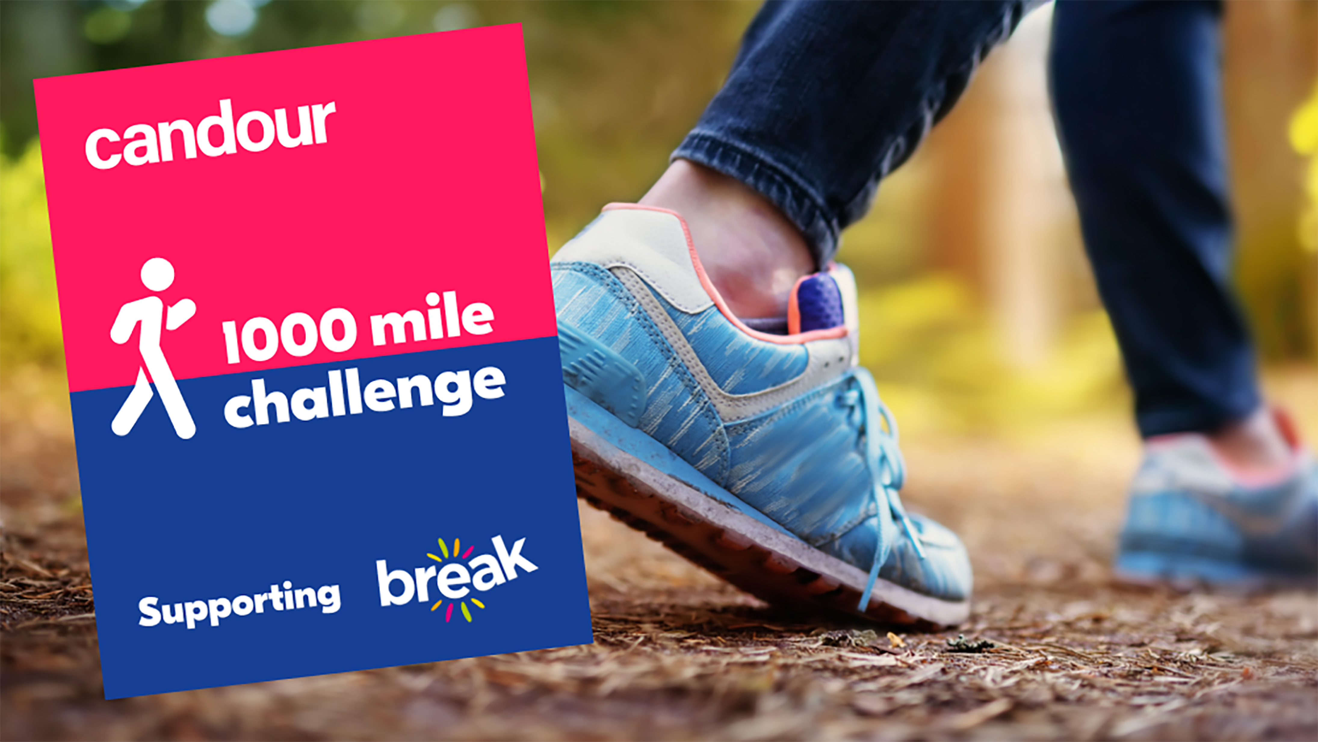 A person wearing trainers walking in the forest