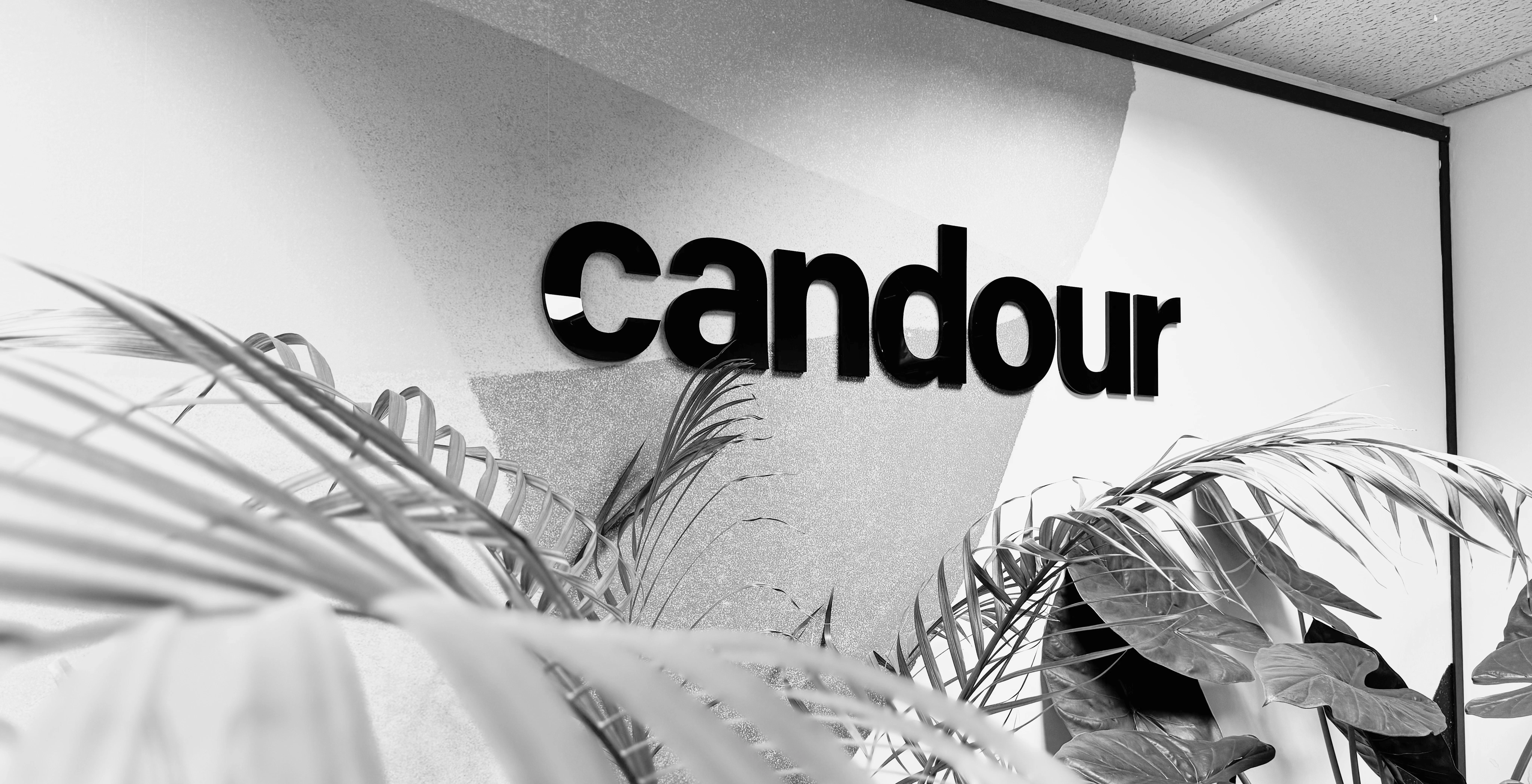 A wall displaying a 3d version of the candour logo, the leaves of large office plants can be seen in the foreground
