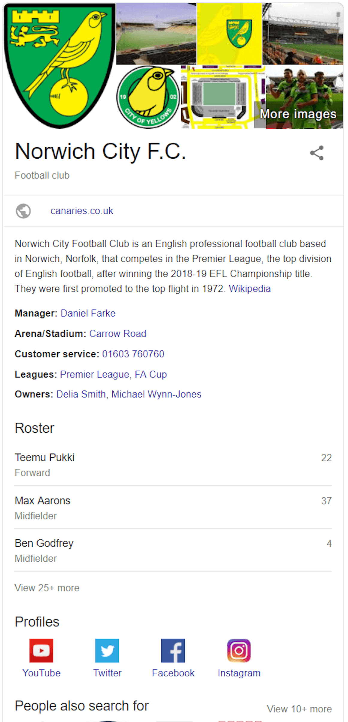 Norwich City Football Club Knowledge Panel