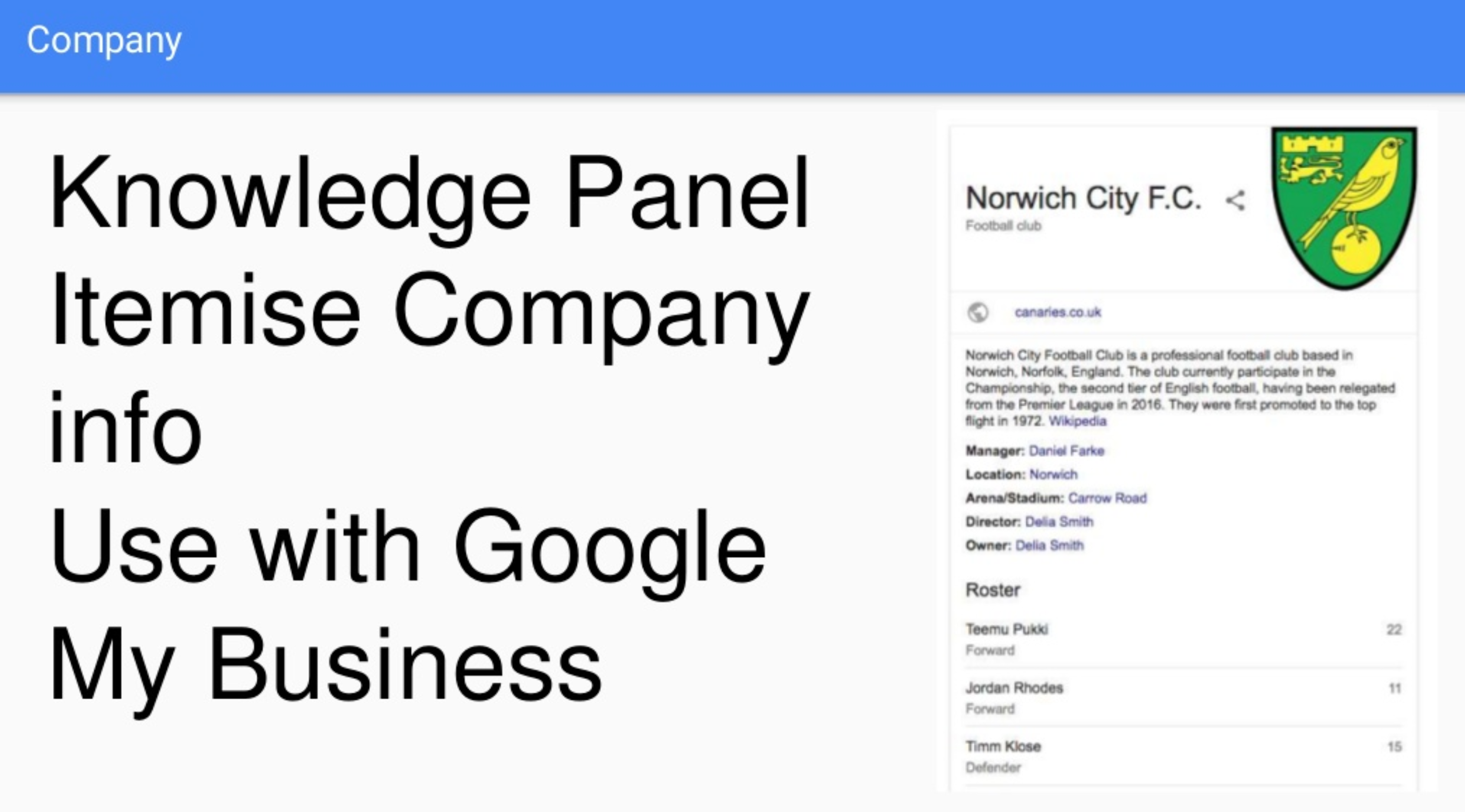 Example Knowledge Panel from Google